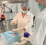 Успешная экстренная транспортировка: ребенок из Оренбурга доставлен в федеральный центр - Министерство здравоохранения