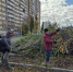 Более 500 оренбуржцев приняли участие в городском субботнике - ProOren.Ru