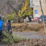 Около 500 человек вышли на общегородской субботник в Оренбурге - Комсомольская Правда