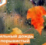 Консультация о неблагоприятном явлении погоды - Департамент пожарной безопасности и гражданской защиты