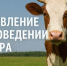 Объявление о проведении отбора на поддержание доходности сельскохозяйственных товаропроизводителей в молочном скотоводстве в 2025 году - Министерство сельского хозяйства