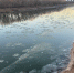 Вода в реках Оренбуржья остыла до +1 градуса, местами наблюдаются забереги - Ria56.Ru