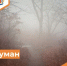 Консультация о неблагоприятном явлении погоды - Департамент пожарной безопасности и гражданской защиты