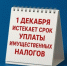 До 1 декабря оренбуржцам необходимо заплатить налоги - Администрация города