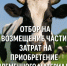 Объявление о проведении отбора на возмещение части затрат на приобретение племенного материала - Министерство сельского хозяйства
