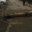Врио главы Оренбурга прокомментировал произошедшее ЧП с падением дерева на девушку - Комсомольская Правда
