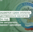 Завершается срок оплаты имущественных налогов за 2024 год успейте заплатить не позднее 1 декабря - Министерство финансов