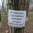 В Оренбурге на сухих деревьях вешают объявления «Будьте осторожны!» - Газета Оренбуржье
