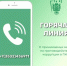 Горячая линия - Государственная жилищная инспекция