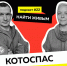 Котоспас: спасаем животных. Найти живым - Orenburg.Media