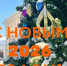 Дорогие пациенты и коллеги! - ГКБ им. Н.И. Пирогова