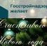 С Новым годом! - Госстройнадзор