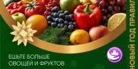 Питание в новогоднюю ночь - Министерство здравоохранения