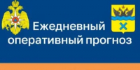 Ежедневный оперативный прогноз на 02 января - Администрация города