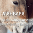 ДЕНЬ ЗАПОВЕДНИКОВ И НАЦИОНАЛЬНЫХ ПАРКОВ - Заповедники Оренбуржья