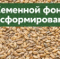 В Оренбургской области сформирован семенной фонд для проведения весенних полевых работ 2026 года - Министерство сельского хозяйства