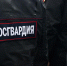Более 1,5 тысяч единиц оружия за год изъяла Росгвардия в Оренбуржье - ProOren.Ru
