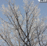 Небо чистое. В Оренбуржье объявлен отбой опасности атаки БПЛА - Ria56.Ru