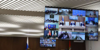 Более 80 млн рублей на отлов: в Оренбуржье обсудили ситуацию с безнадзорными животными - ProOren.Ru
