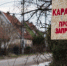 В Оренбурге и его окрестностях ввели карантин из-за бешенства - Time56.Ru
