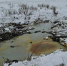 В Оренбуржье из-за аварии на нефтепроводе повреждён плодородный слой почвы - Газета Оренбуржье