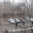 В Оренбурге УК заплатит штраф 40 тысяч за падение дерева и тяжелые травмы - Time56.Ru