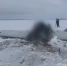 Видео из Орска: Почему упал самолет — Следком рассматривает две версии - Ria56.Ru