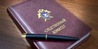 В Беляевском районе возбуждено уголовное дело о покушении на дачу взятки сотруднику полиции - Следственный комитет