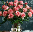 7 февраля в Оренбургском районе пройдет День родной школы - Оренбургский район