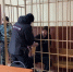 Илья Миронов, напавший на детский сад в Бугуруслане, останется в СИЗО до 6 апреля - Ria56.Ru