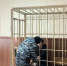 Напавшего на детский сад в Бугуруслане поместили в СИЗО до 6 апреля - ProOren.Ru