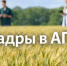 Продолжается реализация федерального проекта «Кадры в АПК» - Министерство сельского хозяйства