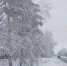 Этой ночью в Оренбуржье похолодает до -27°C - ProOren.Ru