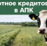 Открыт приём заявок на льготные кредиты для аграриев - Министерство сельского хозяйства