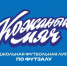 Межрегиональный этап МРО Приволжье ШФЛ по футзалу - Областной футбольный союз