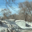 img - ЛДПР