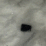 image-11-03-26-10-07 - УМВД Оренбургской области