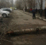 Рухнуло дерево. Потерявшая ногу оренбурженка требует с УК 12 млн рублей - Yuzh-Ural.Ru