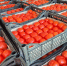 Россельхознадзор Оренбуржья предотвратил ввоз 235 тонн зараженной продукции - ProOren.Ru