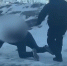 В Оренбурге задержали подозреваемого в убийстве 2015 года - Orenburg.Media
