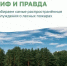 Каждой весной до 90 % лесных пожаров происходит по вине человека   - Правительство Оренбургской области