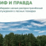 Каждой весной до 90 % лесных пожаров происходит по вине человека - Министерство природных ресурсов