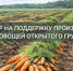 Объявление о проведении отбора получателей субсидии на поддержку производства овощей открытого грунта - Министерство сельского хозяйства