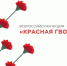 Оренбуржцев приглашают присоединиться к ежегодной акции «Красная гвоздика» - Правительство Оренбургской области