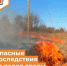 Опасные последствия от палов травы - Департамент пожарной безопасности и гражданской защиты