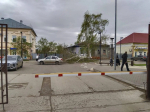 Ветер валит деревья. В Бугуруслане ввели режим повышенной готовности, в Самаре жертвы