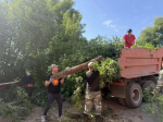 Более 200 горожан убрали Бугуруслан после ливневых дождей